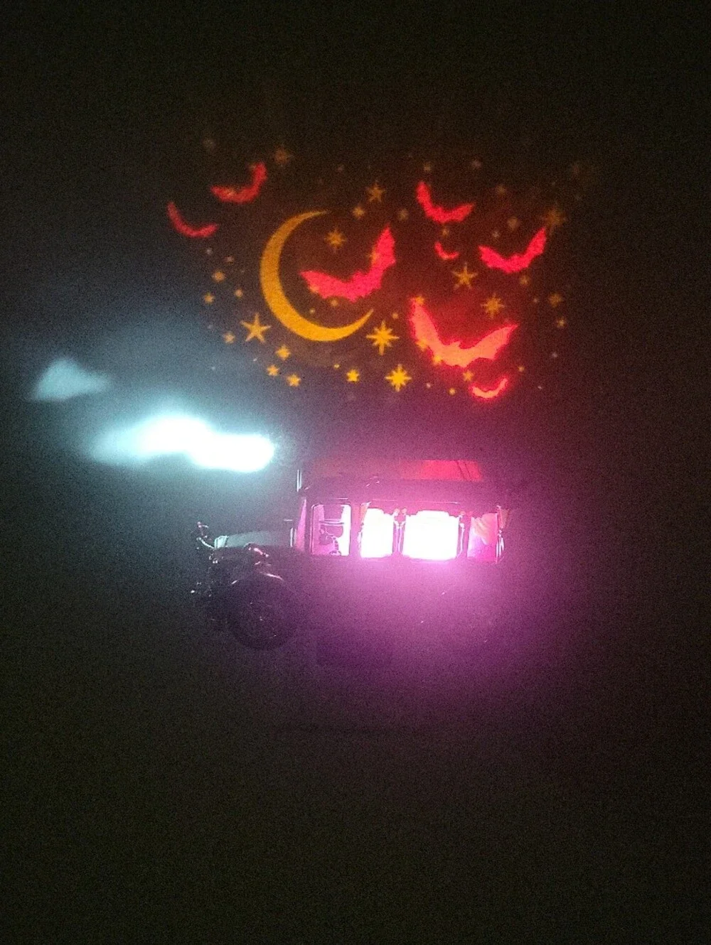 Halloween Light-up Wallflowers By Bath & Bodyworks